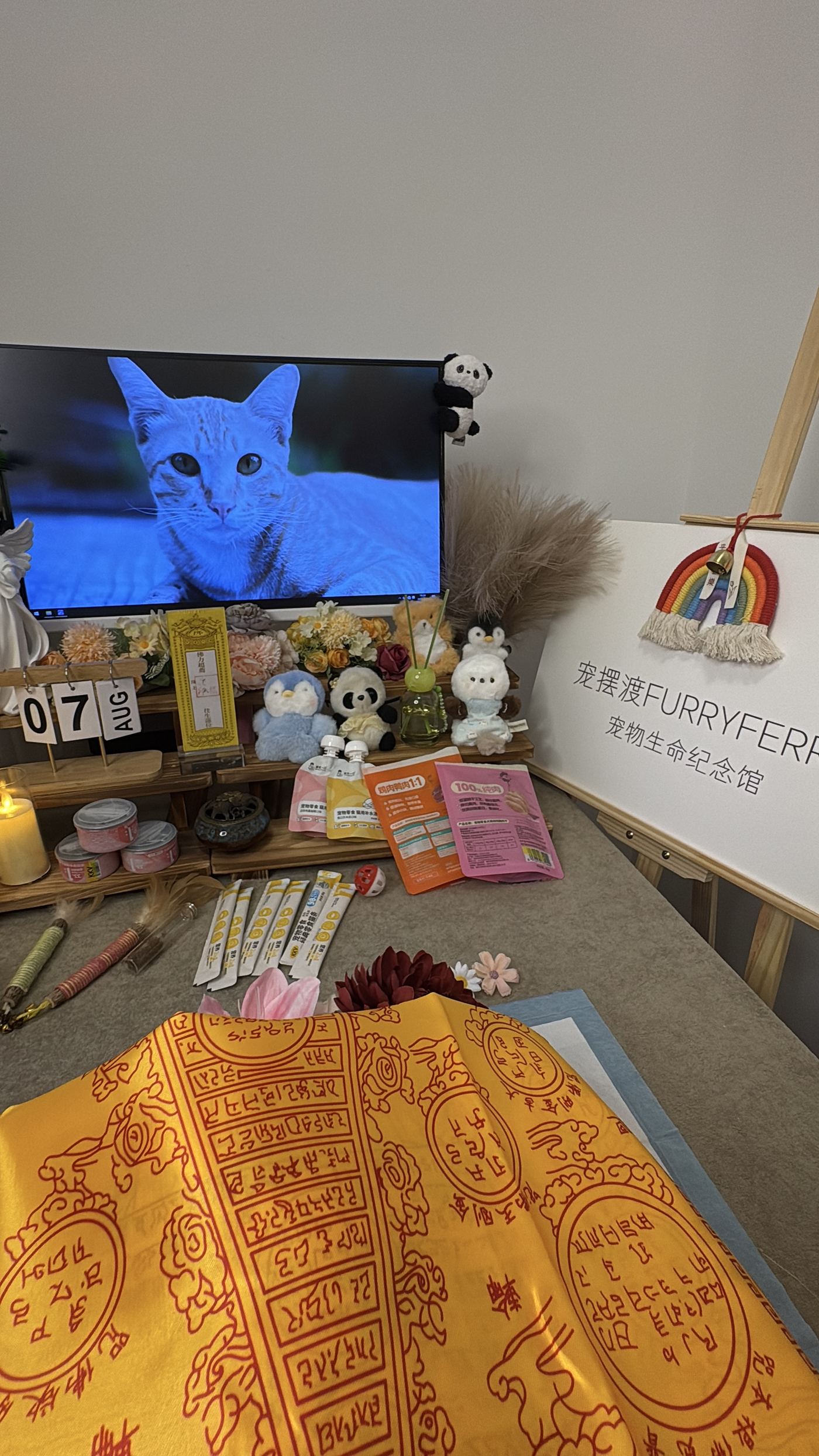 何时该找专业人士