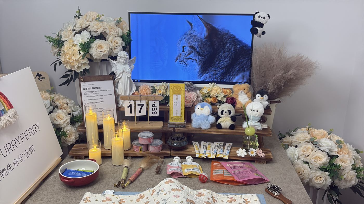 杭州宠物告别厅布置：如何给杭城家属一个体面的告别